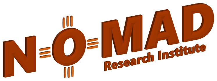 NOMAD Research Institute